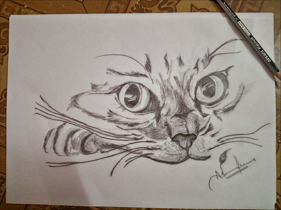 900x675 Cat Sketch Painting By Artist Ashwin Khare - Cat Sketch Pictures