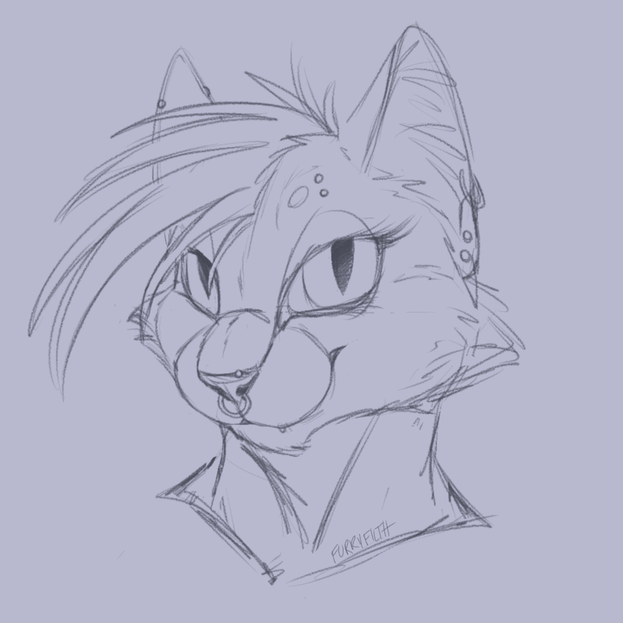 1280x1280 Cat Sketch By Furryfilth - Cat Sketch Pictures