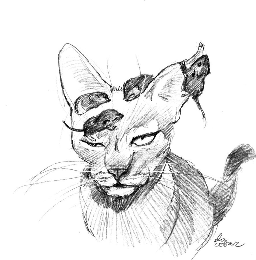 886x901 Mandatory Daily Cat Sketch 1282 By Nosoart - Cat Sketch Pictures