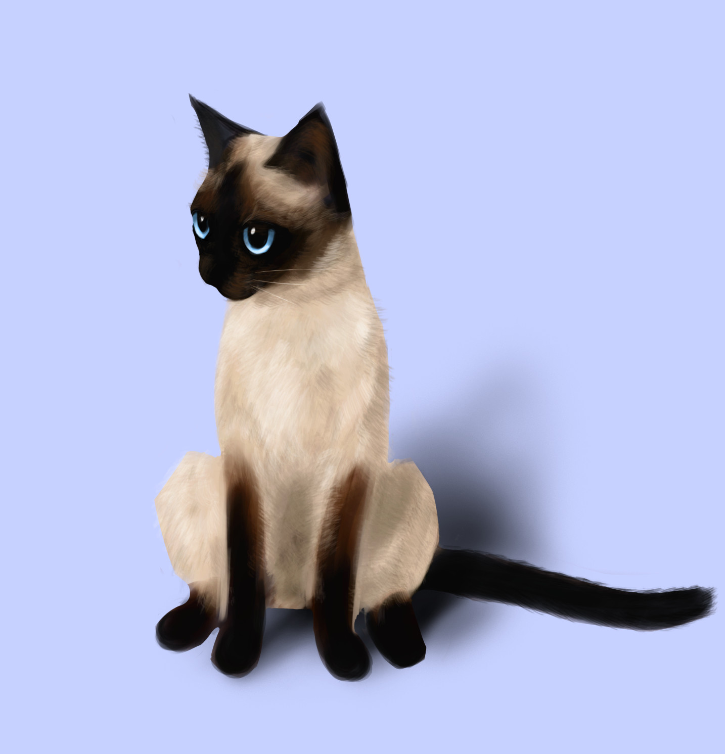 1434x1492 Artstation - Cat Sketch Pictures