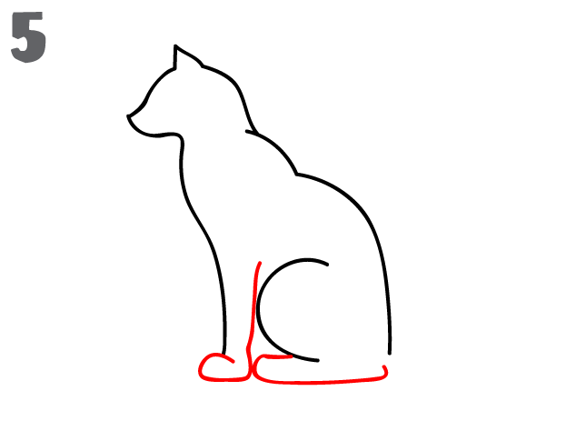 623x485 How To Draw A Cat - Cat Sketch Step By Step
