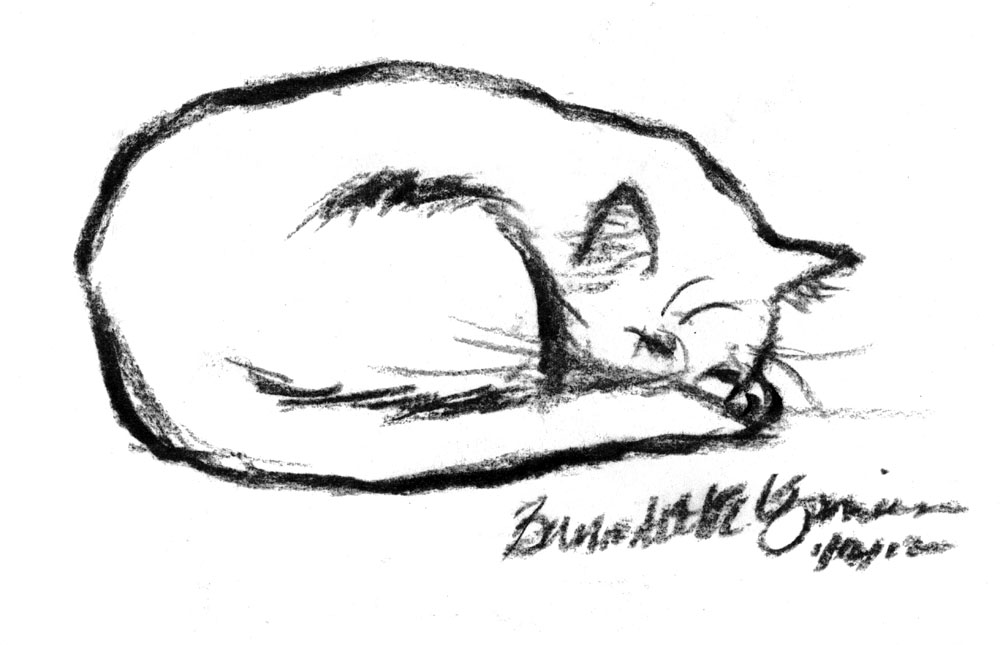 Cat Sleeping Sketch at PaintingValley.com | Explore collection of Cat