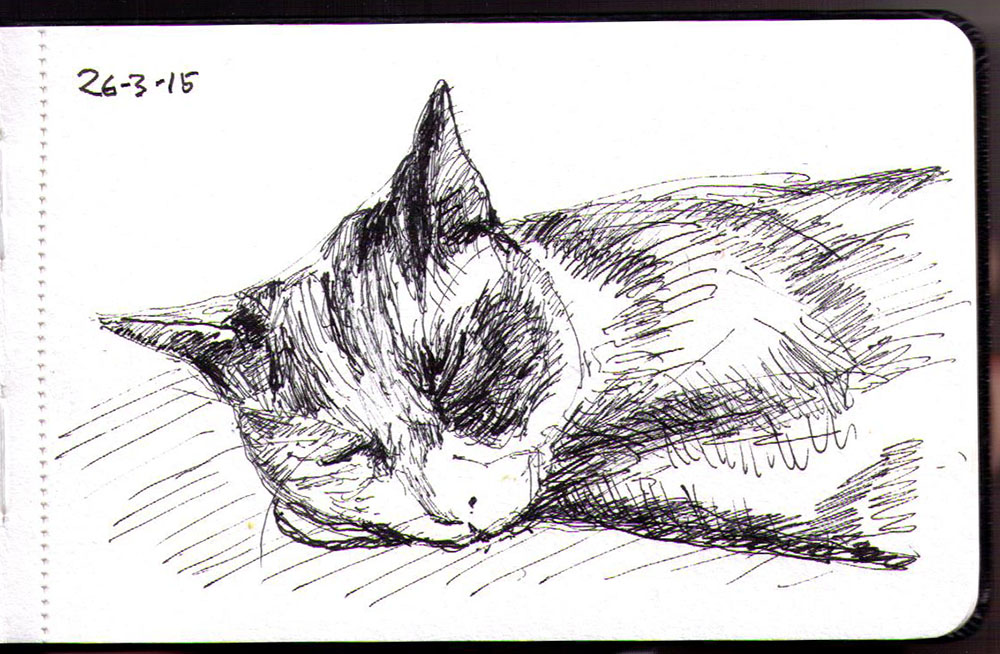 Cat Sleeping Sketch at Explore collection of Cat