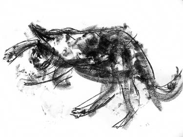 375x281 Sleeping Cat Drawing By David Rabie Saatchi Art - Cat Sleeping Sketch