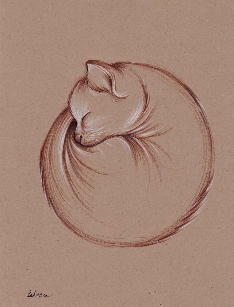 780x1024 Slumber - Cat Sleeping Sketch