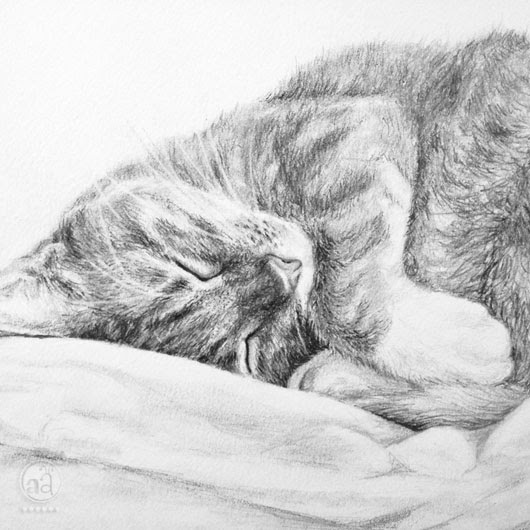 530x530 Drawing Of A Sleeping Kitty Artsy Ants - Cat Sleeping Sketch