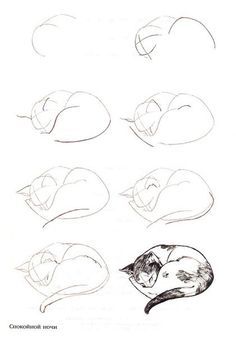 236x339 How To Draw A Sleeping Cat Step By Step - Cat Sleeping Sketch