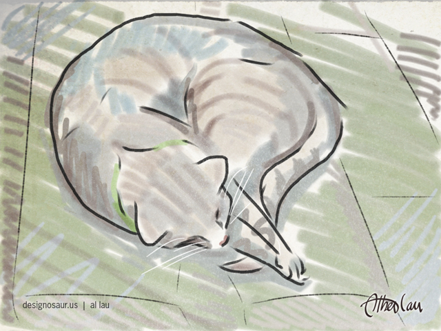 640x480 Sketch Cat Sleeping Blog.designosaur.us - Cat Sleeping Sketch