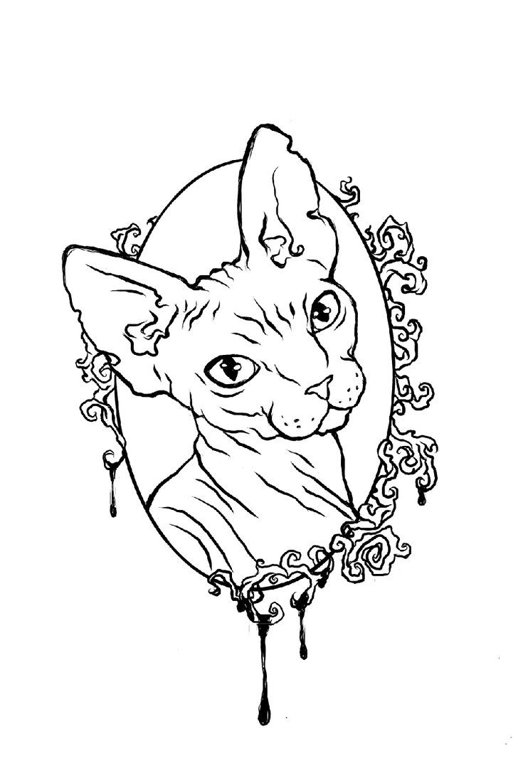 742x1077 Sketch Tattoo - Cat Tattoo Sketch