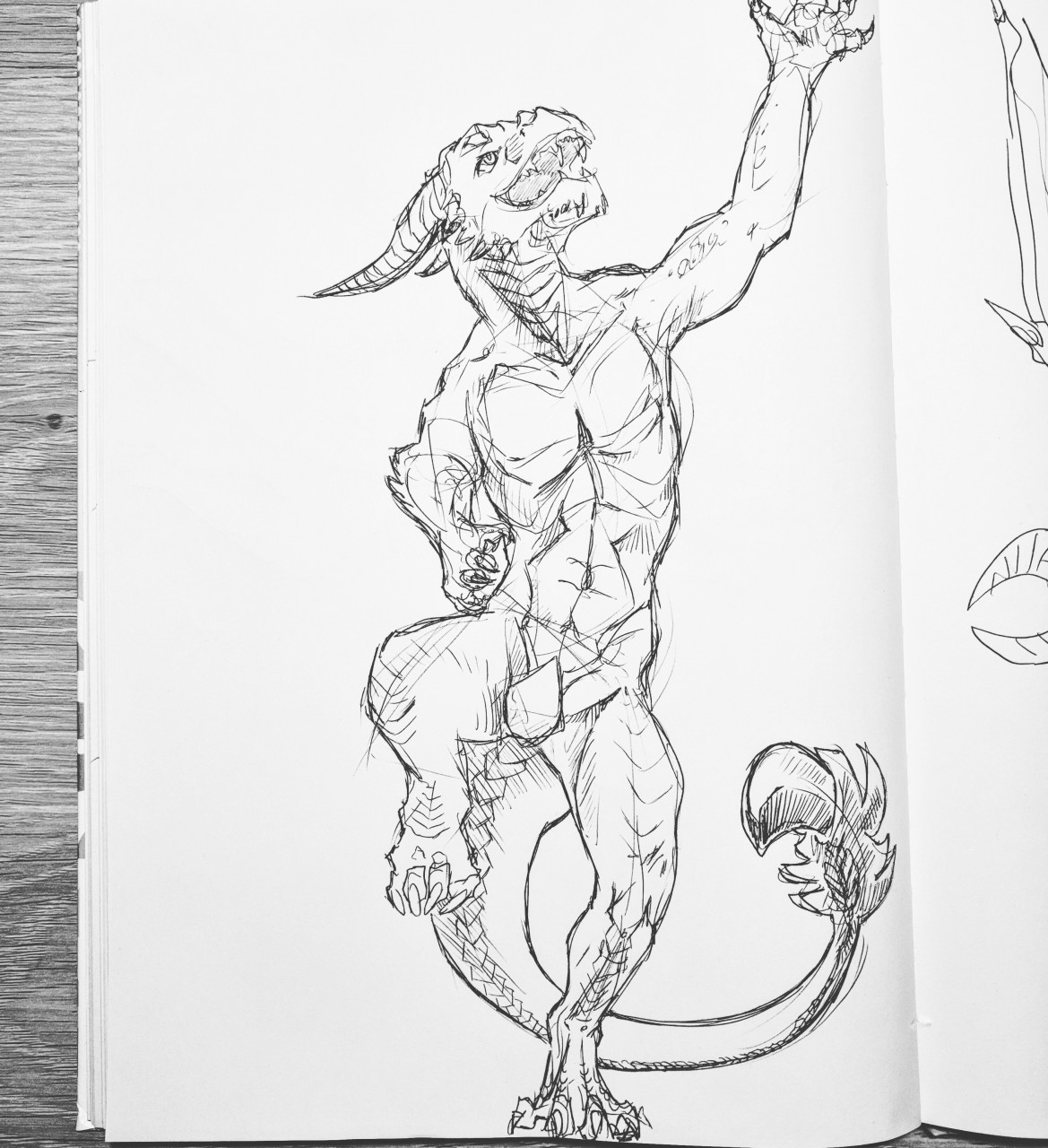 1169x1280 Jump To Catch (Sketch) By Karakhanzi - Catch Sketch