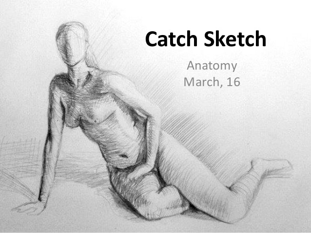 638x479 Sketch March 2016 - Catch Sketch