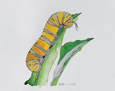 236x188 How To Draw A Caterpillar Drawing Drawings, Art - Caterpillar Sketch