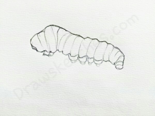 600x450 How To Draw A Caterpillar In A Few Easy Steps With Pictures - Caterpillar Sketch