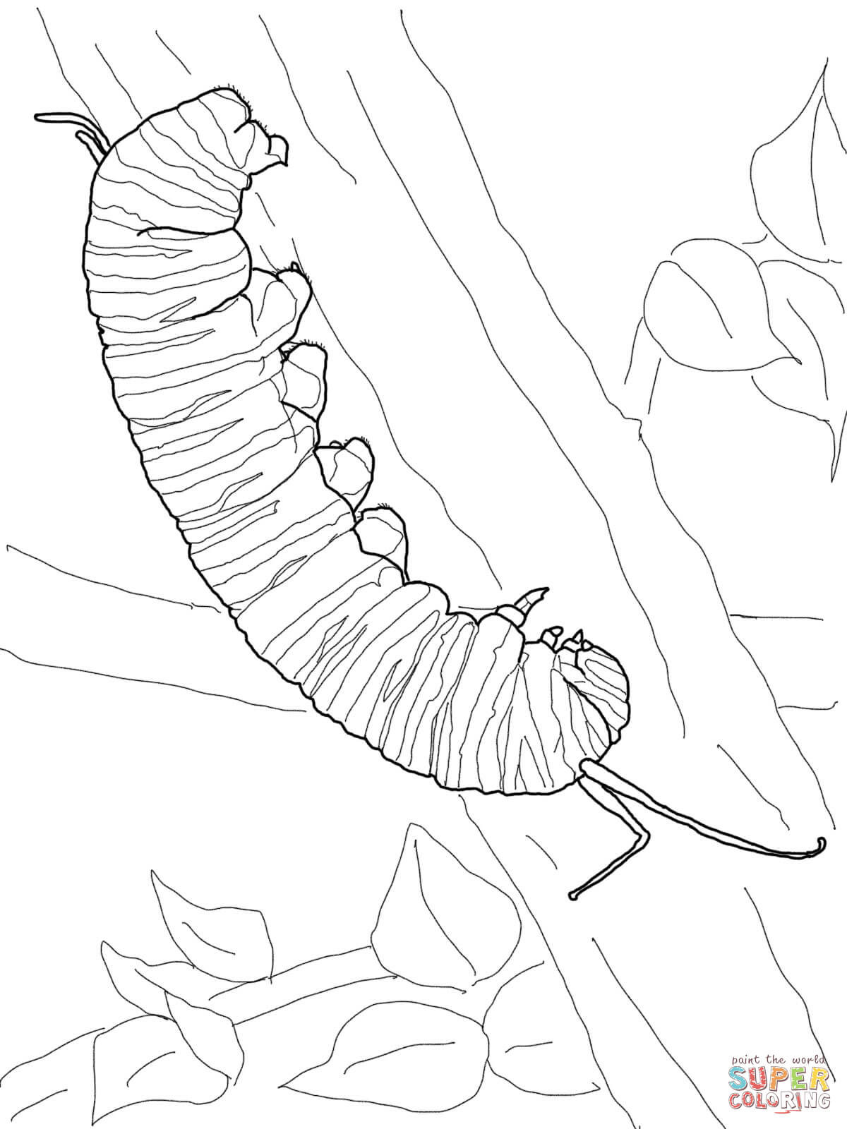 1200x1600 Monarch Caterpillar Coloring - Caterpillar Sketch