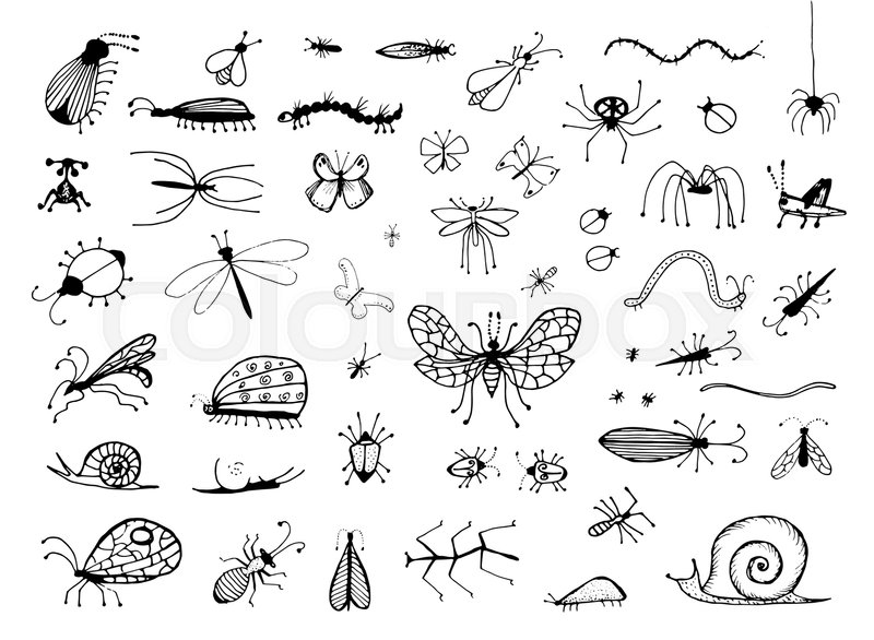 800x586 Set Of Hand Drawn Insects Bugs, Worms, Caterpillar, Butterfly - Caterpillar Sketch