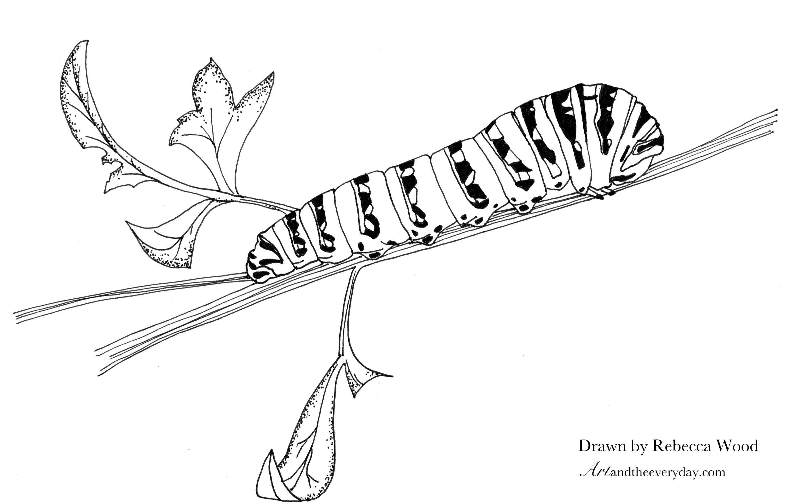 2749x1752 Line Drawing Caterpillar - Caterpillar Sketch