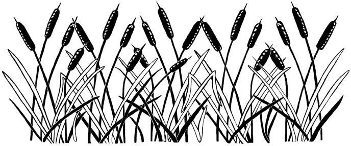 688x288 Cattails Border Unmounted Rubber Stamp Line Drawing - Cattail Sketch