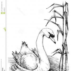 300x300 Stock Illustration Swan Sketch Lake Cattail Image Geekchicpro - Cattail Sketch