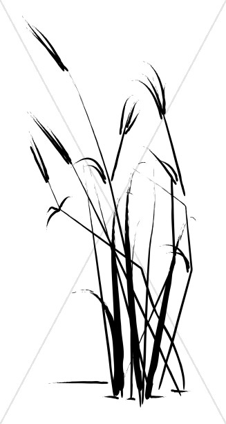 327x612 Summer Grass Sketch Leaf Borders - Cattail Sketch