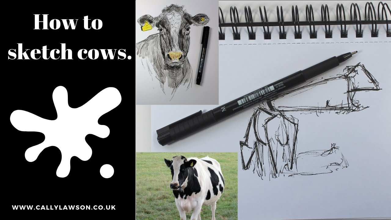 1280x720 How To Sketch Cows From A Distance, Tips On Drawing Cattle. - Cattle Sketch