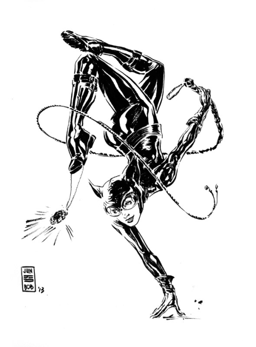 500x678 Catwoman Sketch By Jun Bob Kim - Catwoman Sketch