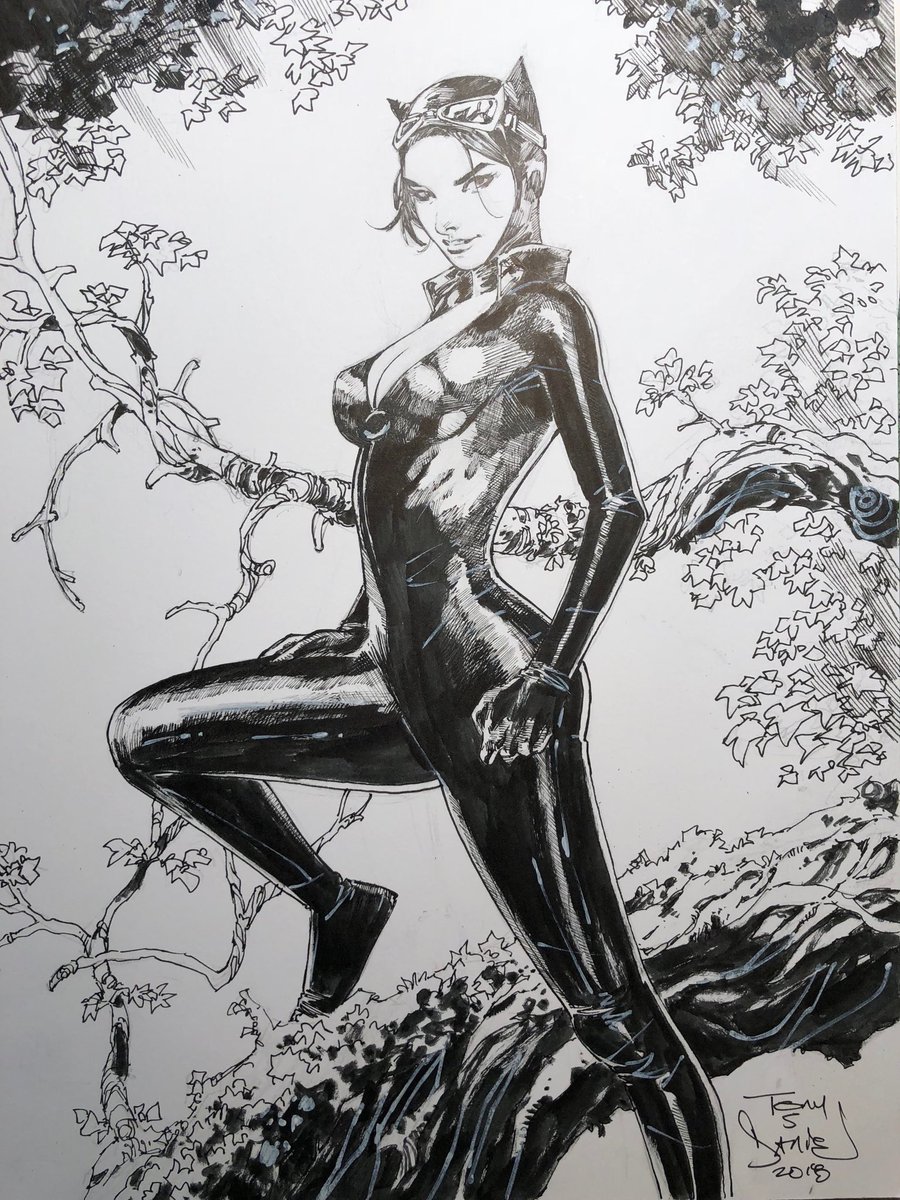 900x1200 Tony S Daniel On Twitter Cat In A Tree - Catwoman Sketch