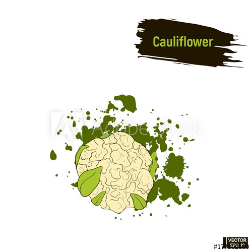 500x500 Colored Vegetable, Cauliflower Sketch. - Cauliflower Sketch