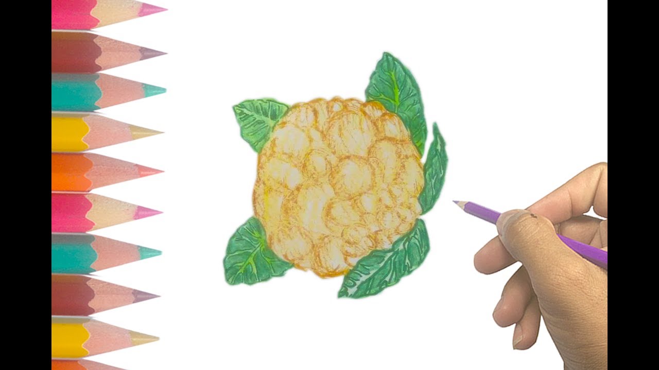 1280x720 How To Draw Cauliflower Easy Step By Step Vegetable Drawing For - Cauliflower Sketch