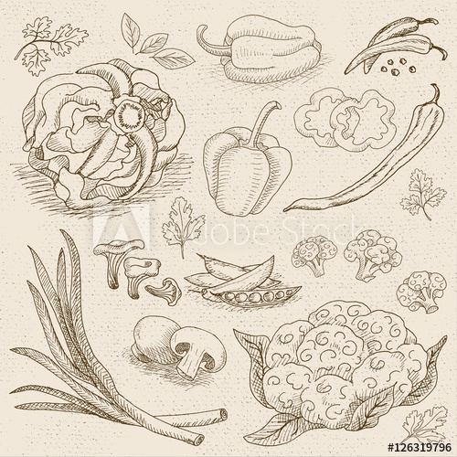 500x500 Set Of Chalk Sketch Hand Drawn, In Sketch Style, Food And Spices - Cauliflower Sketch