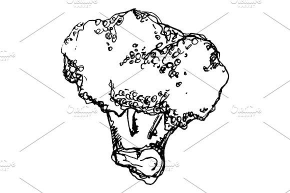 580x386 Art, Vector, Vegetable, Fruit, Cabbage, Cauliflower, Broccoli - Cauliflower Sketch
