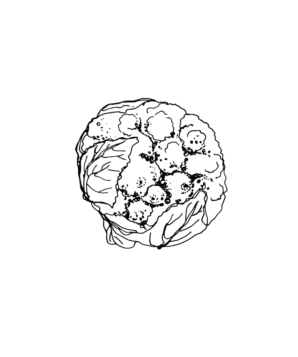 1000x1200 Cauliflower Farmbelly - Cauliflower Sketch