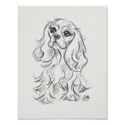 422x422 Cavalier King Charles Spaniel Print Sketch Art Ideas - Cavalier King Charles Spaniel Sketch
