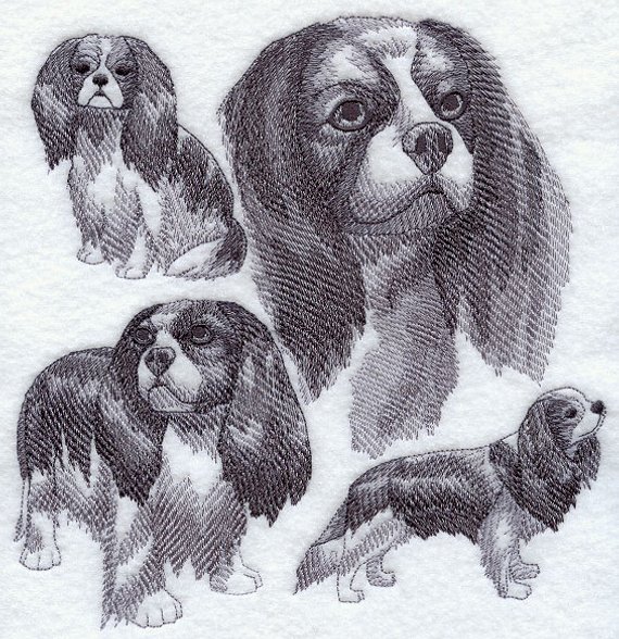 Cavalier King Charles Spaniel Sketch at PaintingValley.com | Explore ...