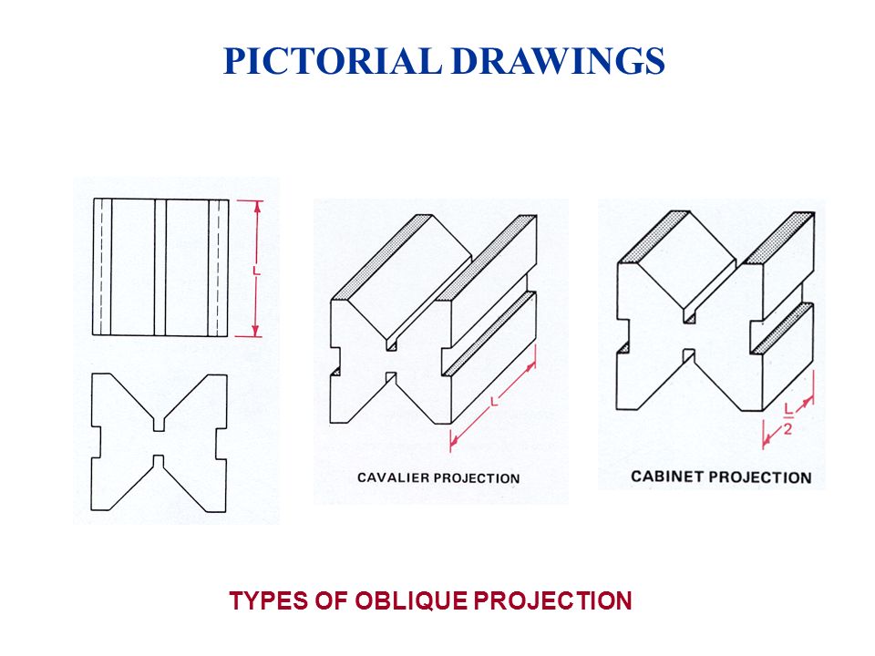 Cavalier Oblique Sketch at PaintingValley.com | Explore collection of