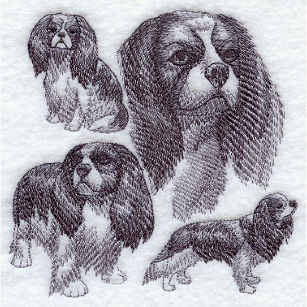 600x600 Cavalier King Charles Spaniel Sketch - Cavalier Sketch