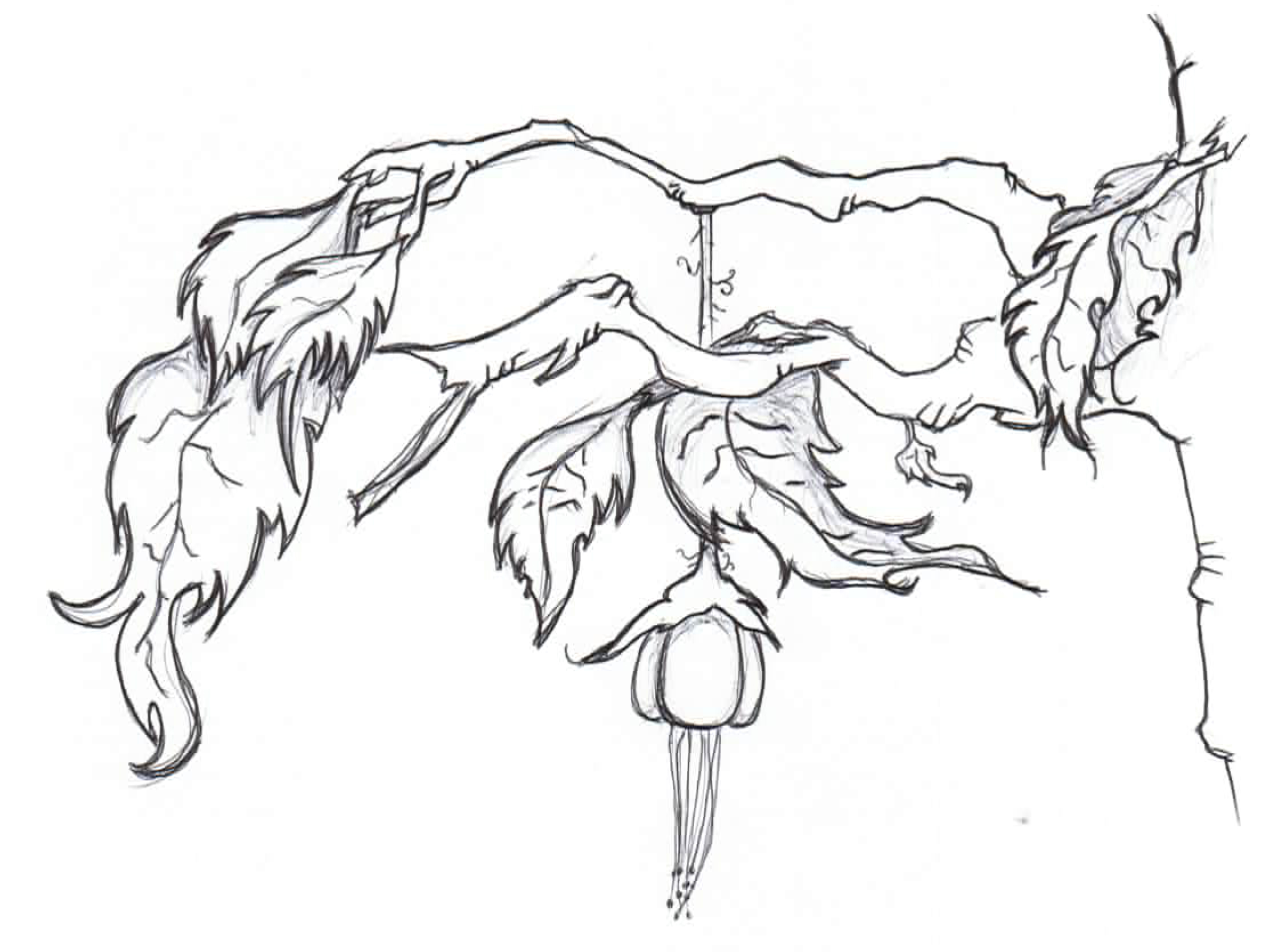 2247x1669 Cd Cover Art Contest Winner Lineweights - Cd Cover Sketch