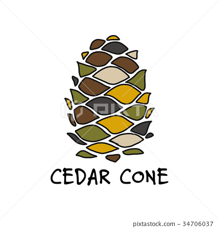 450x468 Cedar Cone, Sketch For Your Design - Cedar Sketch