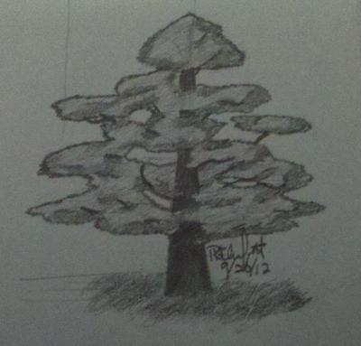 400x383 Floating Islands - Cedar Sketch