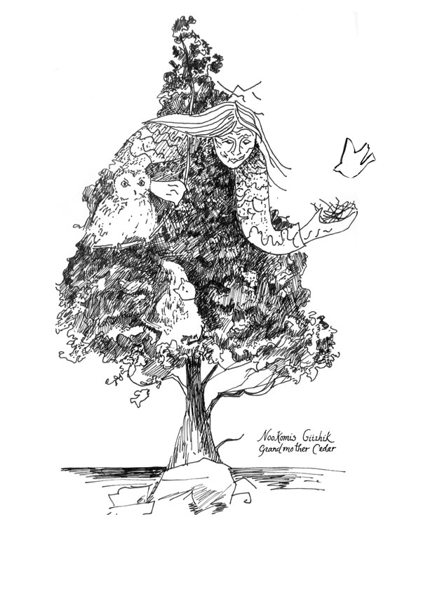 600x850 Snow Falling On Washington Island Cedars Art Amp Nature Center - Cedar Sketch