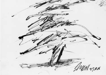 375x266 Cedar - Cedar Sketch