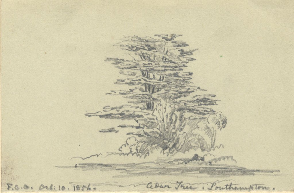 1024x672 F.c. Tottie, Cedar Tree, Southampton - Cedar Tree Sketch