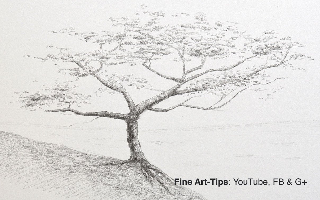 1208x758 How To Draw A Tree With Pencil - Cedar Tree Sketch