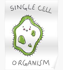 210x230 Cell Sketch Posters Redbubble - Cell Sketch