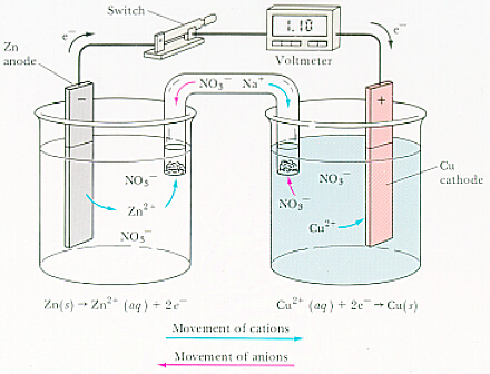 440x336 How Do You Sketch Galvanic Cells + Example - Cell Sketch