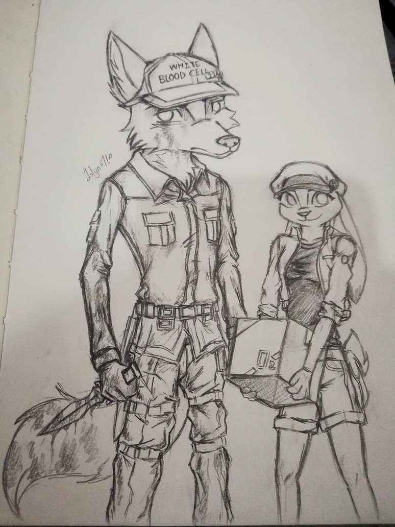 774x1032 Wildehopps X White N Red Blood Cell(Sketch) By Jolyn0710 - Cell Sketch