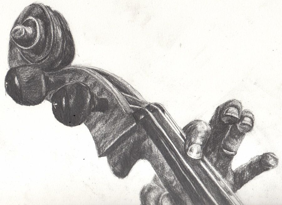 900x654 Cello Sketch - Cello Sketch