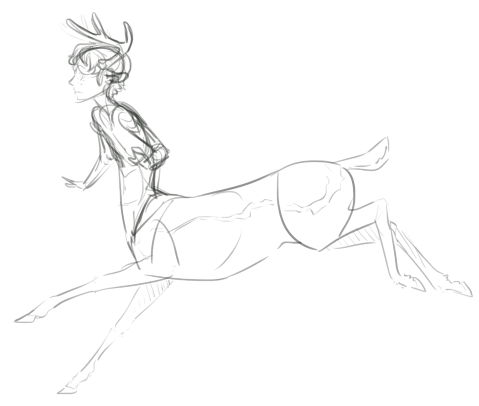 972x823 Deer Centaur Sketch By Regalchaos - Centaur Sketch