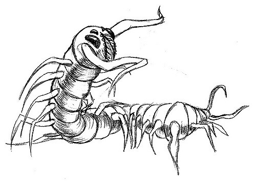 500x357 Evil Centipede Sketch Brittany Gregoire - Centipede Sketch