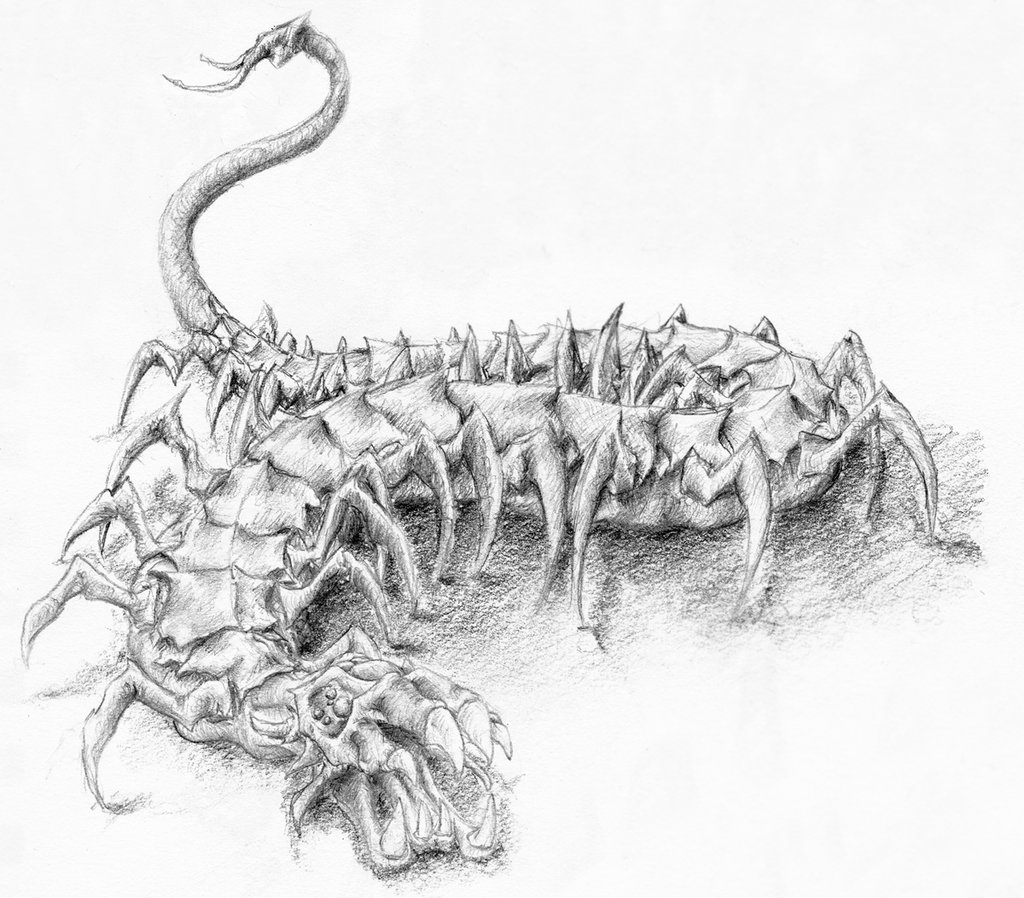 1024x898 Giant Centipede By Genericoverusedname - Centipede Sketch