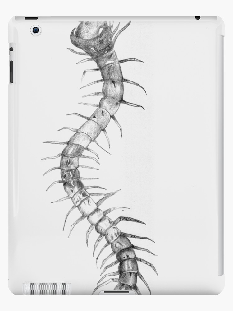 750x1000 Illustrated Centipede Ipad Cases Amp Skins By Teeroy Redbubble - Centipede Sketch